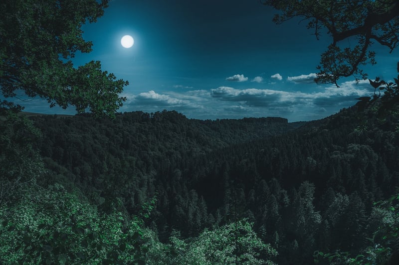 Moonlit Suit